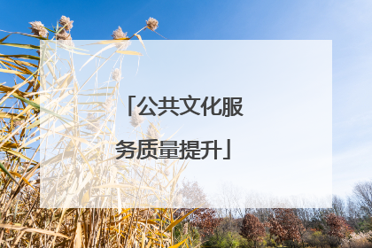 公共文化服务质量提升
