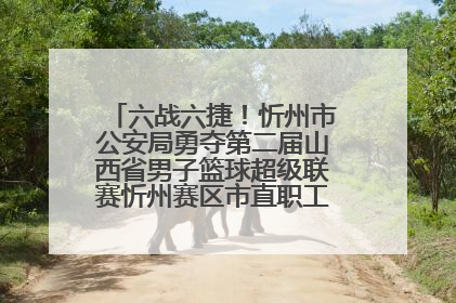 六战六捷！忻州市公安局勇夺第二届山西省男子篮球超级联赛忻州赛区市直职工组比赛冠军