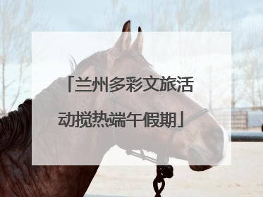 兰州多彩文旅活动搅热端午假期