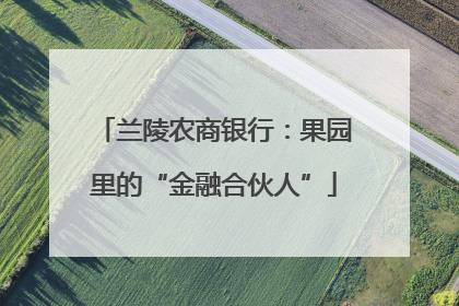兰陵农商银行：果园里的“金融合伙人”
