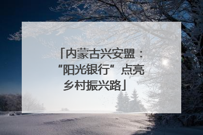 内蒙古兴安盟：“阳光银行”点亮乡村振兴路