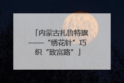 内蒙古扎鲁特旗——“绣花针”巧织“致富路”