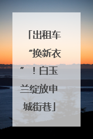 出租车“换新衣”！白玉兰绽放申城街巷