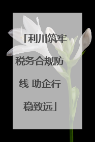 利川筑牢税务合规防线 助企行稳致远