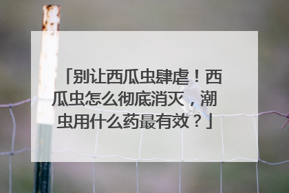别让西瓜虫肆虐！西瓜虫怎么彻底消灭，潮虫用什么药最有效？