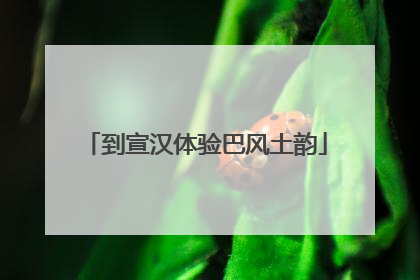 到宣汉体验巴风土韵