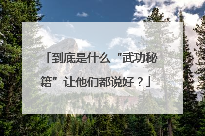 到底是什么“武功秘籍”让他们都说好？