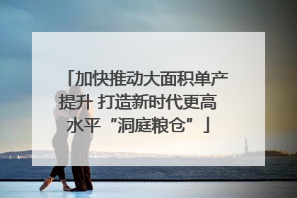 加快推动大面积单产提升 打造新时代更高水平“洞庭粮仓”