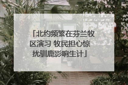 北约频繁在芬兰牧区演习 牧民担心惊扰驯鹿影响生计