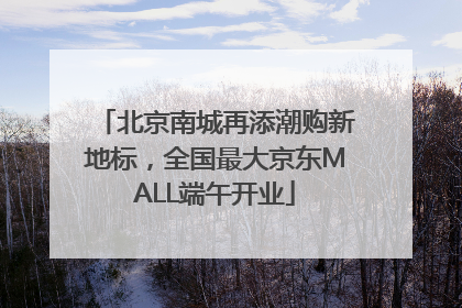 北京南城再添潮购新地标，全国最大京东MALL端午开业