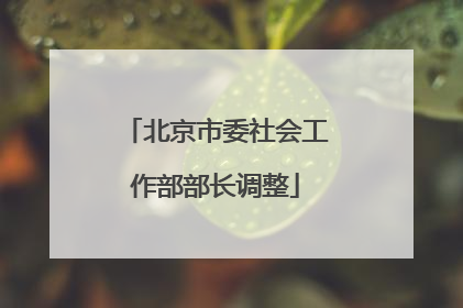 北京市委社会工作部部长调整