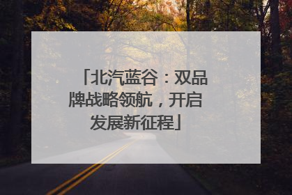 北汽蓝谷：双品牌战略领航，开启发展新征程