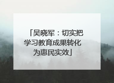 吴晓军：切实把学习教育成果转化为惠民实效