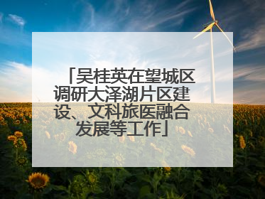 吴桂英在望城区调研大泽湖片区建设、文科旅医融合发展等工作