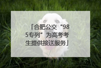 合肥公交“985专列”为高考考生提供接送服务