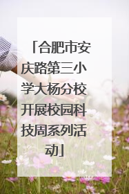合肥市安庆路第三小学大杨分校开展校园科技周系列活动