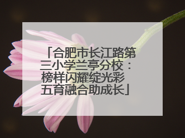 合肥市长江路第三小学兰亭分校：榜样闪耀绽光彩 五育融合助成长