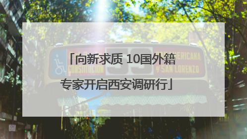 向新求质 10国外籍专家开启西安调研行
