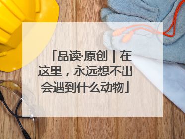 品读·原创｜在这里，永远想不出会遇到什么动物