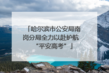 哈尔滨市公安局南岗分局全力以赴护航“平安高考”