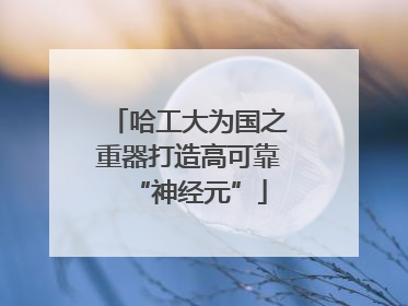哈工大为国之重器打造高可靠“神经元”