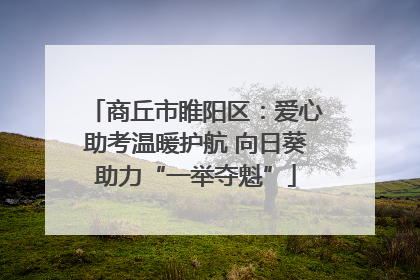 商丘市睢阳区：爱心助考温暖护航 向日葵助力“一举夺魁”