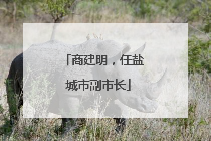 商建明，任盐城市副市长