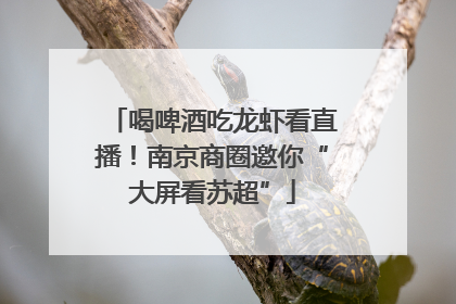 喝啤酒吃龙虾看直播！南京商圈邀你“大屏看苏超”