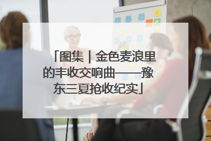 图集｜金色麦浪里的丰收交响曲——豫东三夏抢收纪实