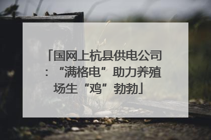 国网上杭县供电公司：“满格电”助力养殖场生“鸡”勃勃