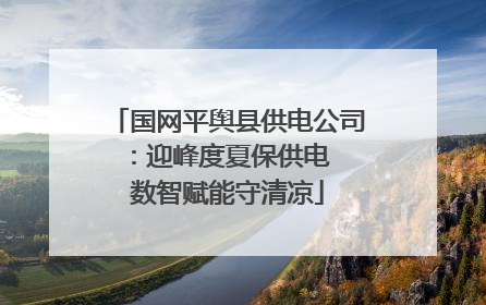 国网平舆县供电公司：迎峰度夏保供电  数智赋能守清凉