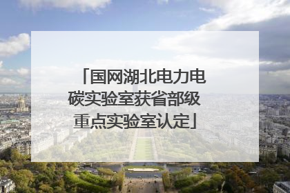 国网湖北电力电碳实验室获省部级重点实验室认定