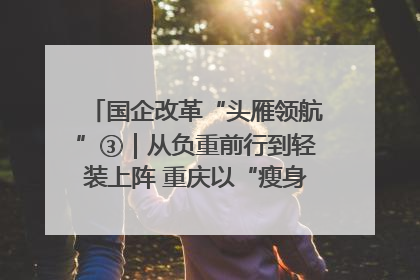 国企改革“头雁领航”③｜从负重前行到轻装上阵 重庆以“瘦身”谋“健体”