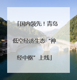 国内领先！青岛低空经济生态“神经中枢”上线
