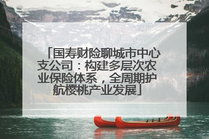 国寿财险聊城市中心支公司：构建多层次农业保险体系，全周期护航樱桃产业发展