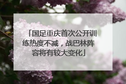 国足重庆首次公开训练热度不减，战巴林阵容将有较大变化