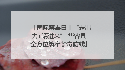 国际禁毒日丨“走出去+请进来” 华容县全方位筑牢禁毒防线