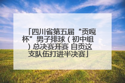 四川省第五届“贡嘎杯”男子排球（初中组）总决赛开赛 自贡这支队伍打进半决赛
