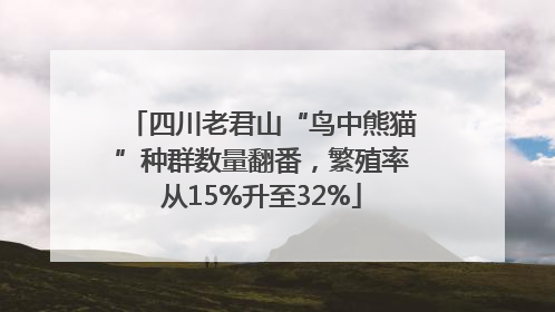 四川老君山“鸟中熊猫”种群数量翻番，繁殖率从15%升至32%