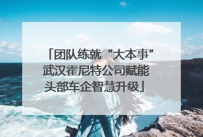 团队练就“大本事” 武汉霍尼特公司赋能头部车企智慧升级