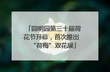 圆明园第三十届荷花节开幕，首次推出“荷梅”双花展