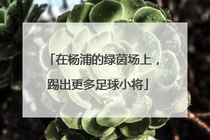 在杨浦的绿茵场上，踢出更多足球小将