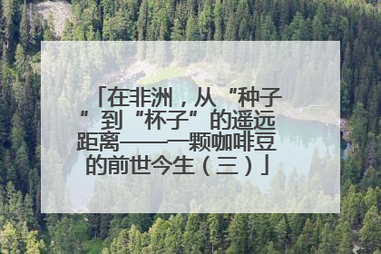 在非洲，从“种子”到“杯子”的遥远距离——一颗咖啡豆的前世今生（三）