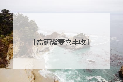 富硒紫麦喜丰收