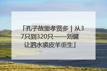 孔子故里孝贤多｜从37只到320只——刘健让泗水裘皮羊重生