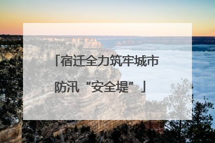 宿迁全力筑牢城市防汛“安全堤”