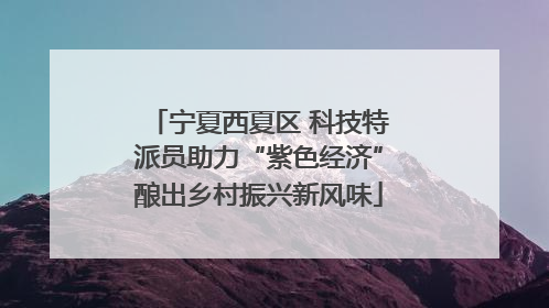 宁夏西夏区 科技特派员助力“紫色经济”酿出乡村振兴新风味