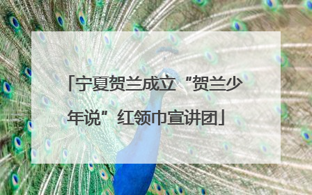 宁夏贺兰成立“贺兰少年说”红领巾宣讲团
