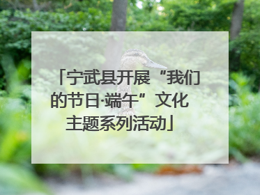 宁武县开展“我们的节日·端午”文化主题系列活动