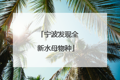 宁波发现全新水母物种